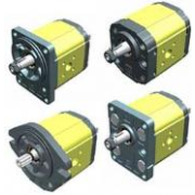 Sale Gear Pumps and motors